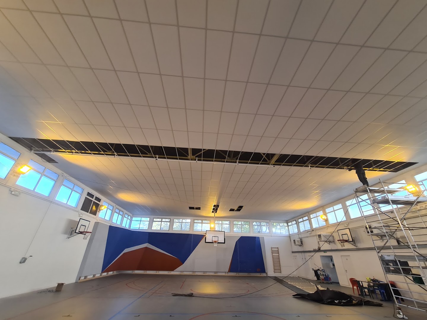 Staf azur ( Plaquiste Plafiste ) — Photos 7